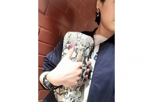 クラッチバッグのハイク