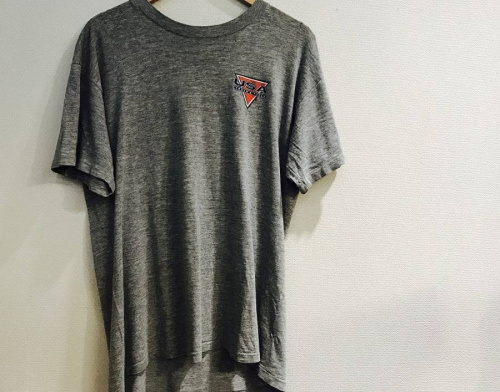 トップスのTシャツ・カットソー