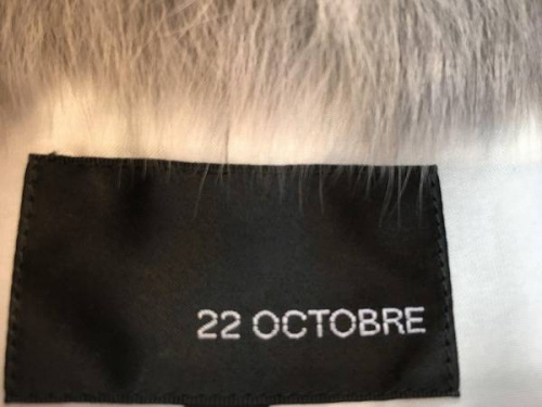 17年10月22日：画像１０