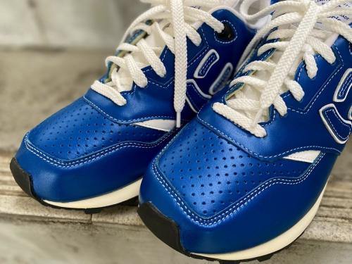 クツコウボウサンガッチョの厚木