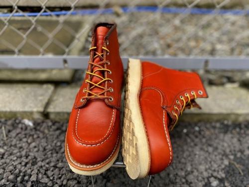 レッドウィングのアイリッシュセッター