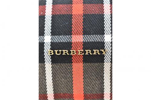 21年03月13日：画像６