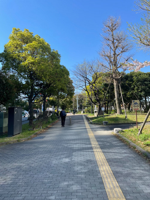 トレファクスタイル南砂町スナモ店ブログ画像4