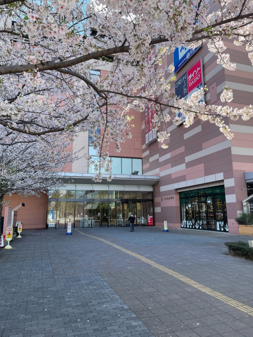 トレファクスタイル南砂町スナモ店ブログ画像7