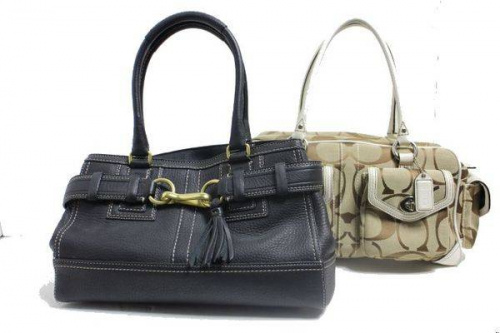 レディースの千葉