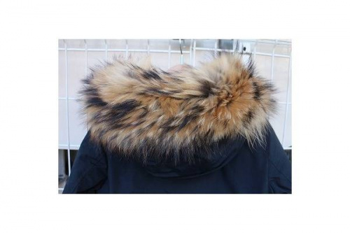 16年11月26日：画像９