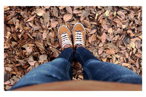 16年12月03日：画像７