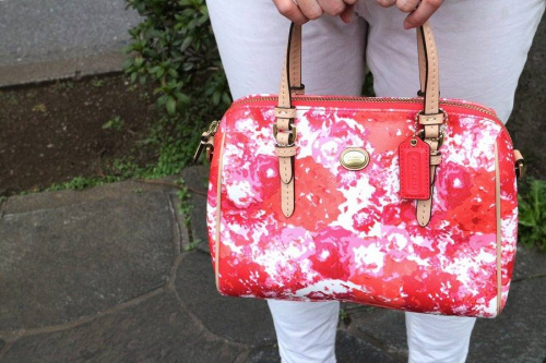 17年02月22日：画像６