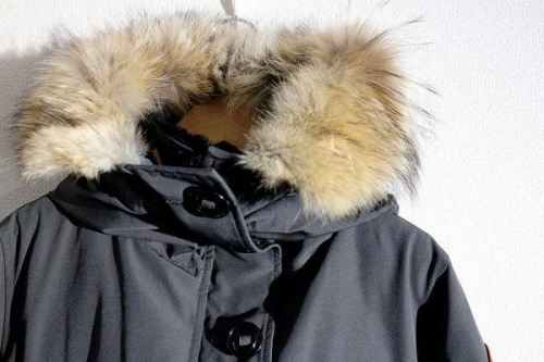 レディースのトップス