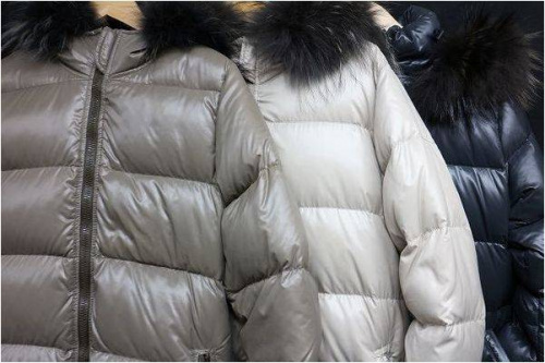 レディースのトップス