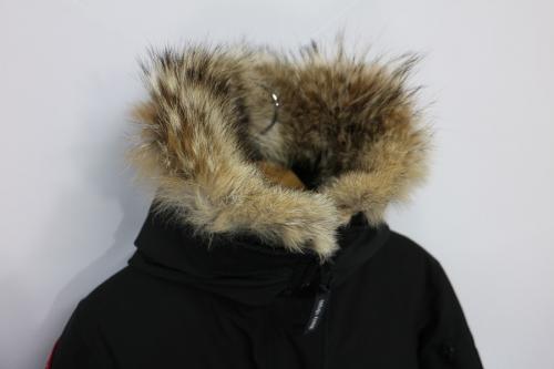 7967JLのLABRADOR BOMBER