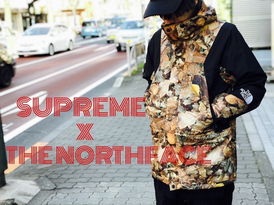 supreme northface 16aw mountain light