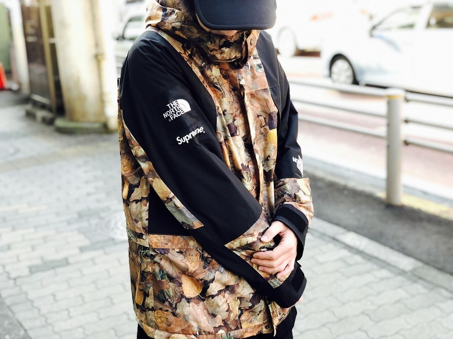 Supreme TNF Mountain Light Jacket