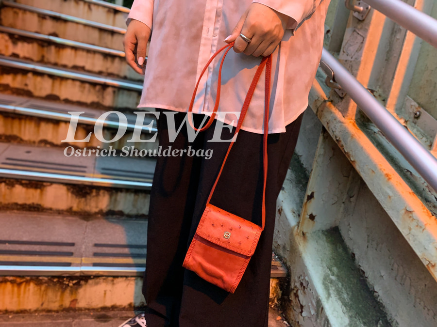 LOEWE/ロエベから希少なオーストリッチショルダーバッグ買取入荷致し