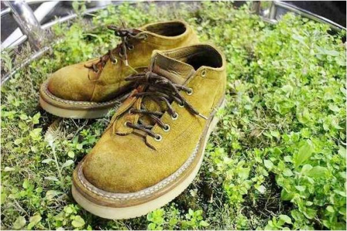 トレファクスタイル調布仙川店ブログ画像２