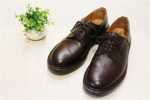 トリッカーズのオールデン