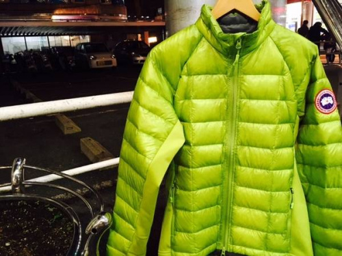 新入荷のCANADAGOOSE