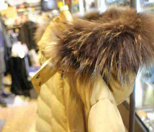 17年01月07日：画像７