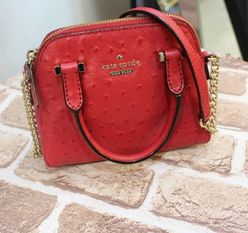 18年01月29日：画像８