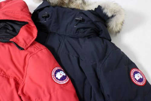 店舗からのお知らせの#CANADA GOOSE #カナダグース