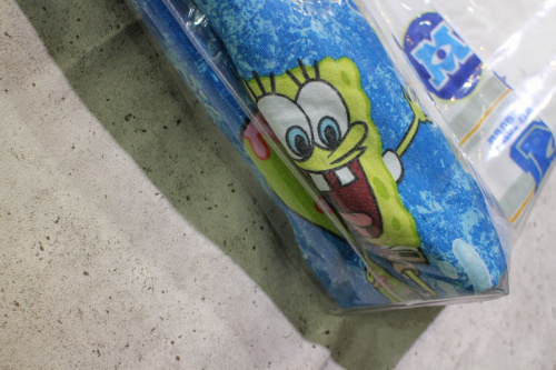 19年01月26日：画像６