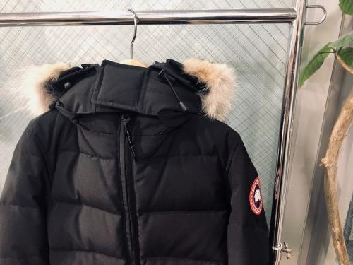 トレファクスタイル調布仙川店ブログ画像１