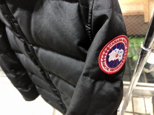 カナダグースの仙川