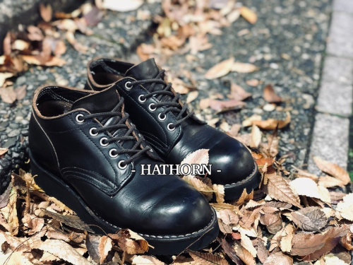 トレファクスタイル調布仙川店ブログ画像１