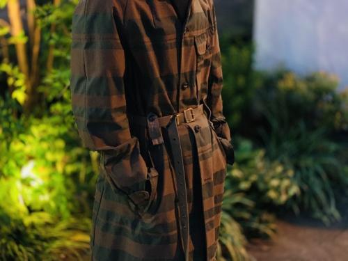 カラーのベルテッドボーダーステンカラーコート