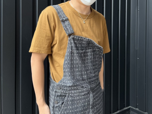 Supreme シャドー ドル札 総柄 オーバーオール S 202204211613021.jpg