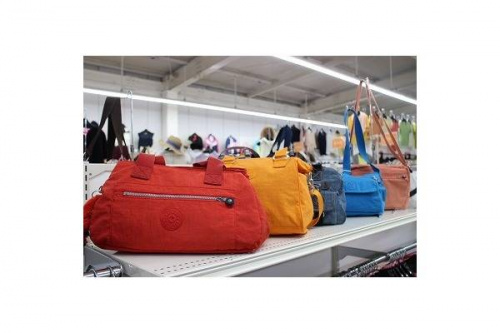 入間のイベントなう