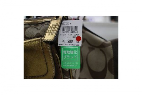 17年07月29日：画像６