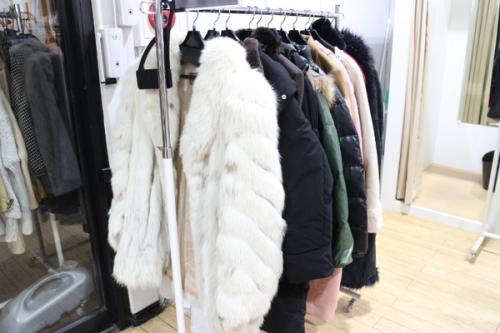 入間のレディース