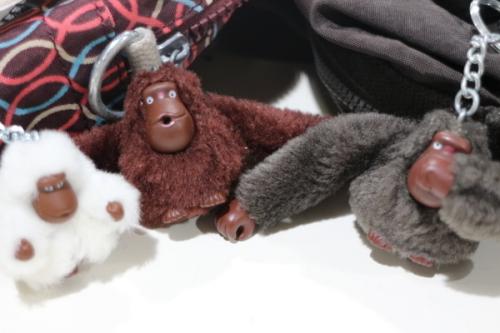 ユーズレットの入間