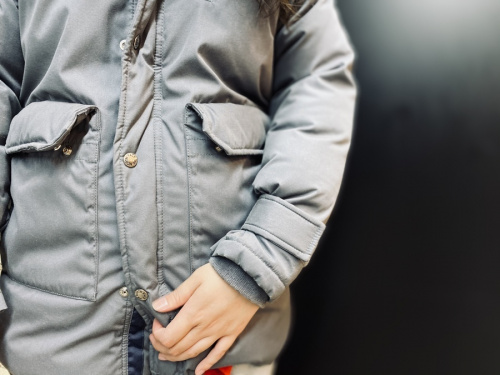 ザノースフェイス パープルレーベルのダウンジャケット