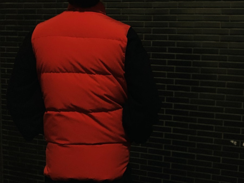 カナダグースのダウンベスト