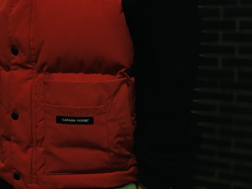 ダウンベストのメンズ