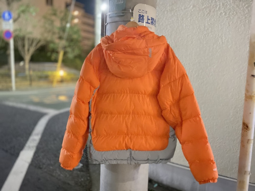 パレスのリフレクターダウンジャケット