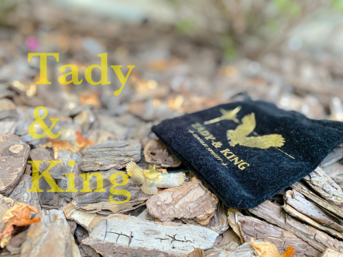 トレファクスタイル三宿店ブログ画像１