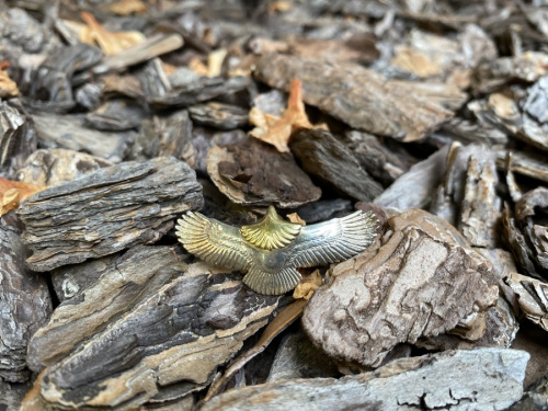 TADY&KINGのタディ＆キング