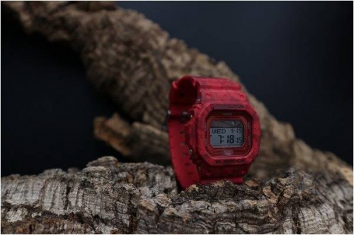 17年04月19日：画像６