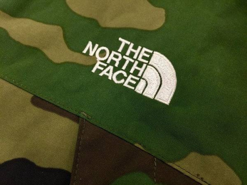 ルイヴィトンのノースフェイス