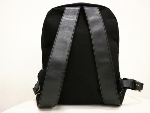 ガンゾのデイバッグ