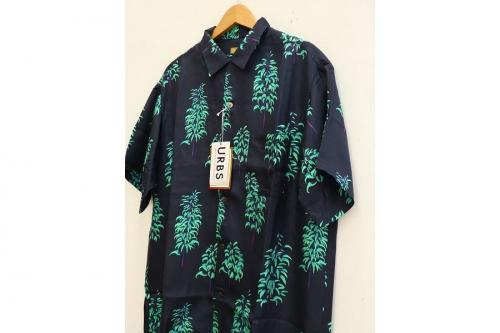 Wang Chomphuのワン チョムプー