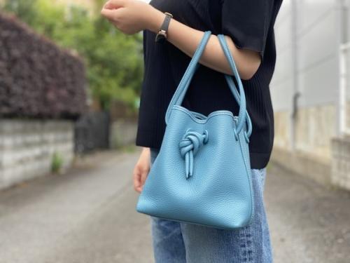 VASICのヴァジック