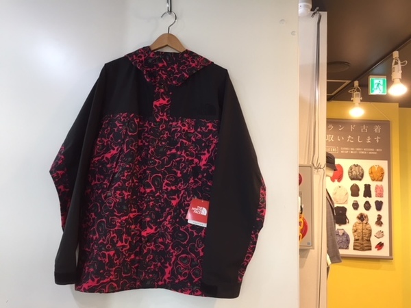 THE NORTH FACE 94RAGE GTXマウンテンライトジャケット