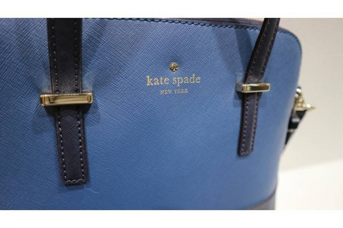 18年10月11日:画像9