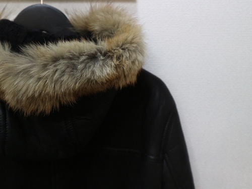 19年01月10日：画像１０