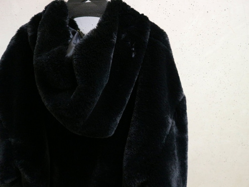 19年01月13日:画像8