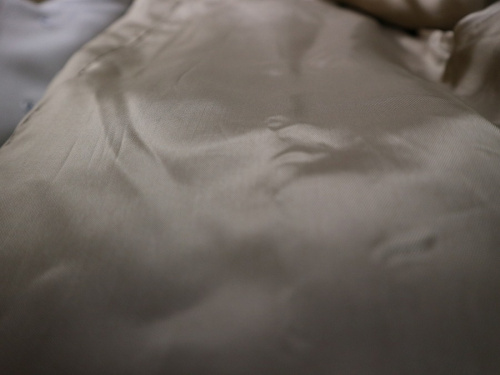 19年01月14日:画像7